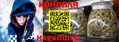 крисы Аргун