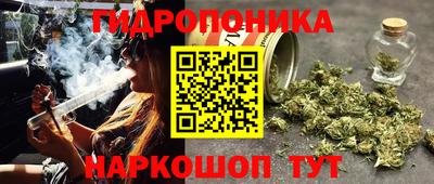 крисы Аргун