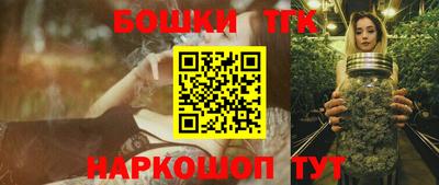крисы Аргун