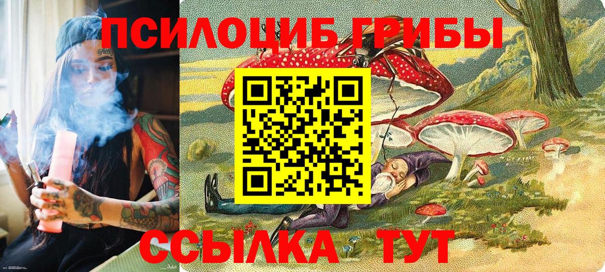 Ачхой-Мартан  Галлюциногенные грибы Psilocybe  Вход с VPN 